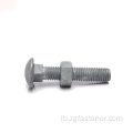 Zoll Stol Round Head Galvanized Carriage Bolt